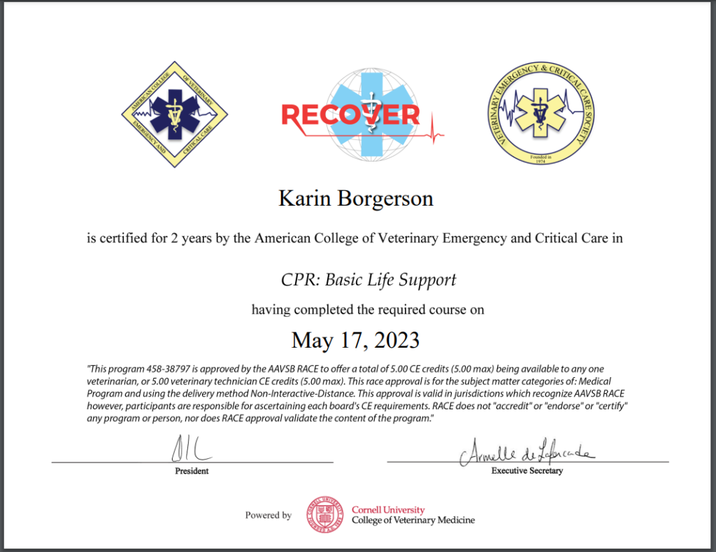 Certificate indicating that Karin Borgerson is certified in CPR: Basic Life Support by the American College of Veterinary Emergency and Critical Care